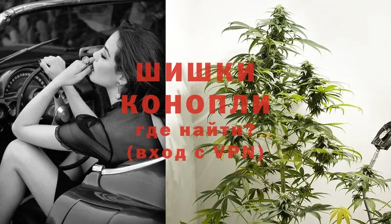 купить наркотики цена  Волосово  Конопля SATIVA & INDICA 